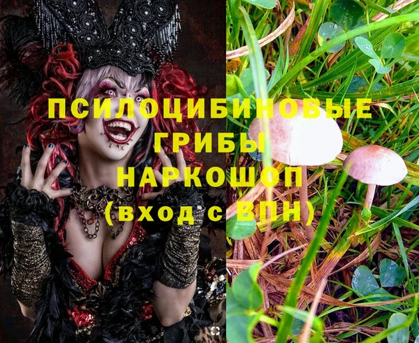 метамфетамин Богданович